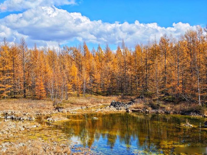 淘宝摄影：记录生活中的每一个精彩瞬间
